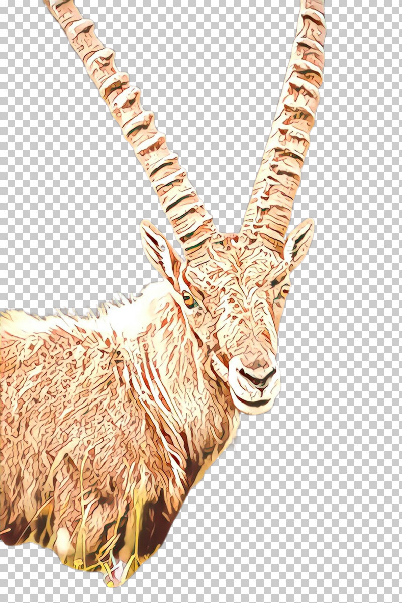 Antelope Goats Horn Waterbuck Cow-goat Family PNG, Clipart, Antelope, Cowgoat Family, Gazelle, Goat, Goats Free PNG Download