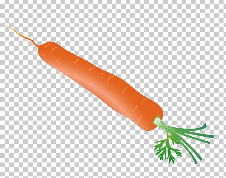 Carrot PNG, Clipart, Bunch Of Carrots, Carrot, Carrot Cartoon, Carrot Juice, Carrots Free PNG Download