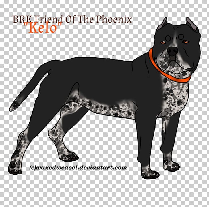 Dog Breed PNG, Clipart, Animals, Breed, Carnivoran, Dog, Dog Breed Free PNG Download