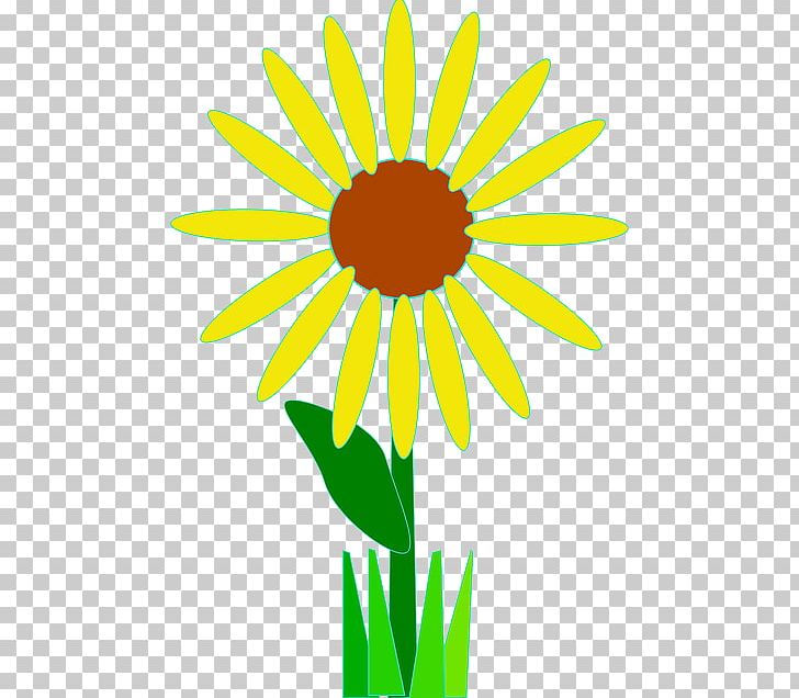 Flower Graphics Open PNG, Clipart, Area, Artwork, Common Daisy, Computer Icons, Cut Flowers Free PNG Download