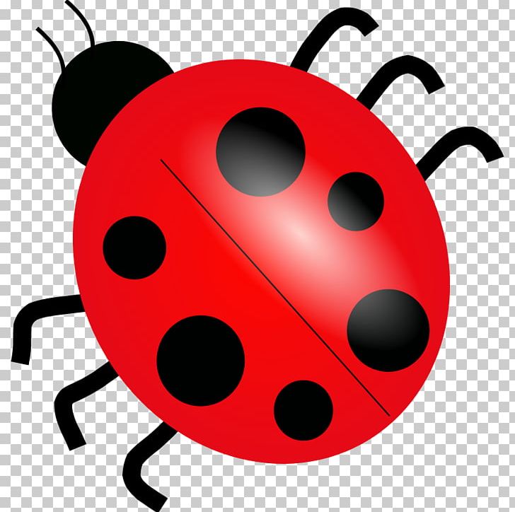 Ladybird Drawing PNG, Clipart, Artwork, Beetle, Cartoon, Computer Icons, Download Free PNG Download