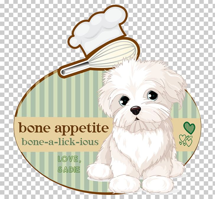 Maltese Dog Puppy Morkie Havanese Dog Shih Tzu PNG, Clipart, Animal, Animals, Bichon, Bichon Frise, Canidae Free PNG Download