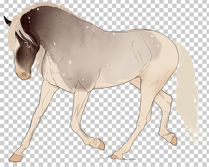 Mane Mustang Stallion Foal Colt PNG, Clipart, Animal Figure, Bridle, Colt, Fauna, Foal Free PNG Download