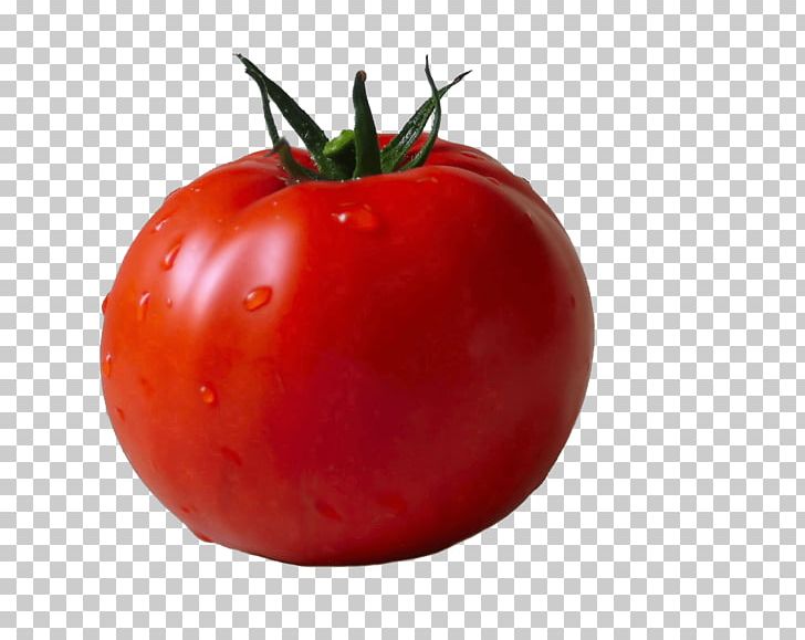 Cherry Tomato Vegetable PNG, Clipart, Bikinibody, Bush Tomato, Business, Cherry Tomato, Encapsulated Postscript Free PNG Download