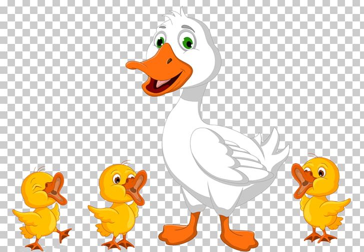 Daisy Duck Drawing PNG, Clipart, Animaatio, Animal, Animal Figure, Animals, Beak Free PNG Download