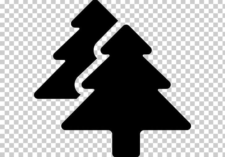 Computer Icons Forest Tree PNG, Clipart, Angle, Black, Black And White, Computer Icons, Conifers Free PNG Download