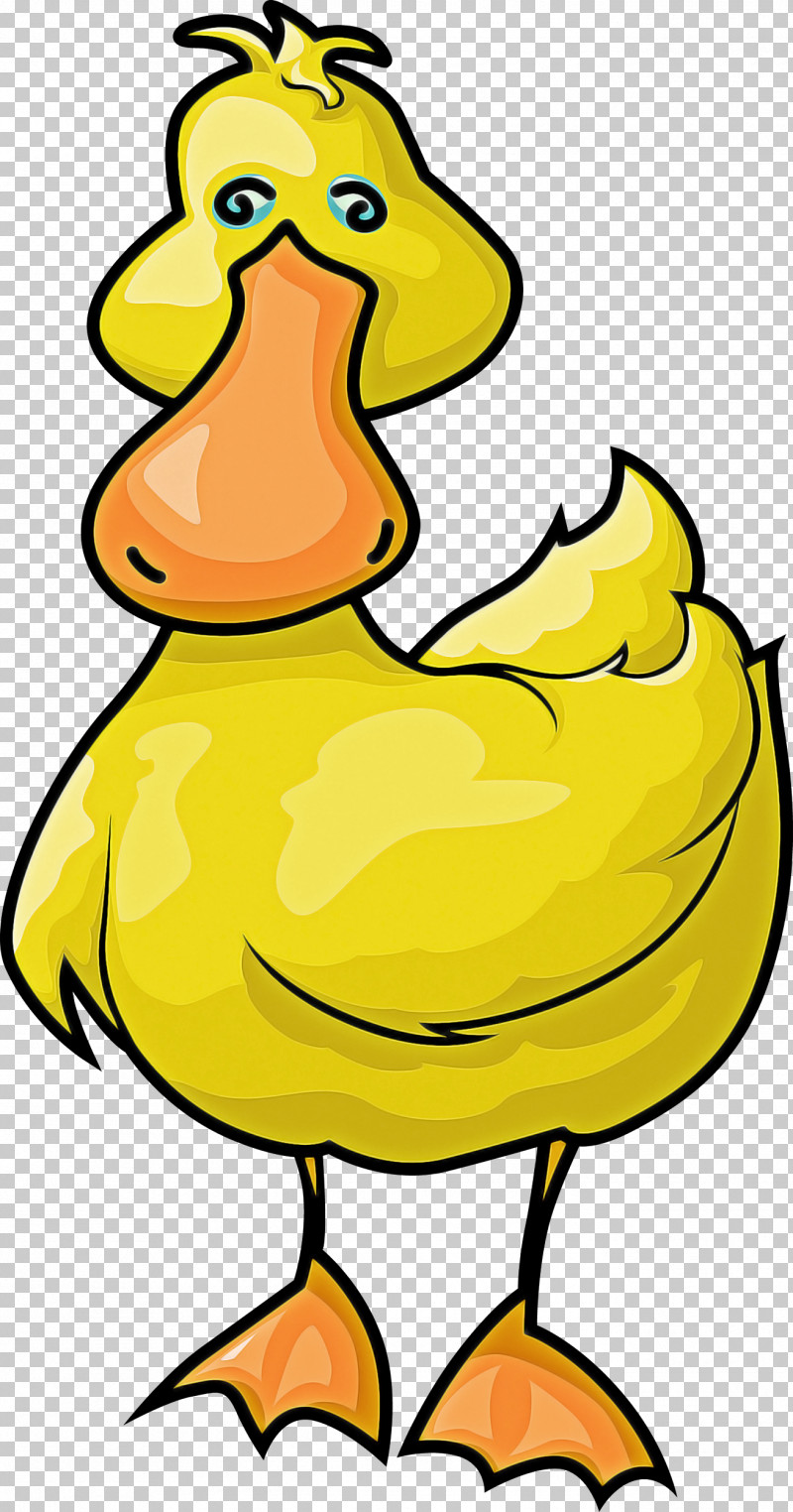Bird Yellow Beak Cartoon Ducks, Geese And Swans PNG, Clipart, Beak, Bird, Cartoon, Duck, Ducks Geese And Swans Free PNG Download