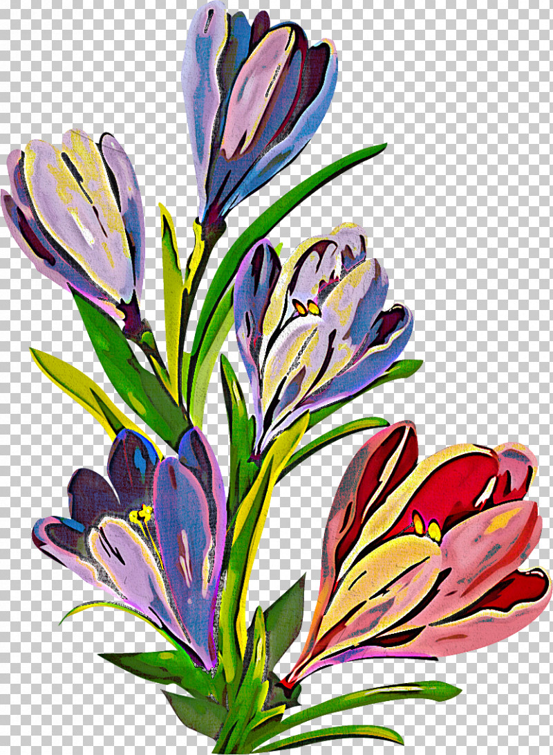 Flower Plant Crocus Petal PNG, Clipart, Crocus, Flower, Petal, Plant Free PNG Download