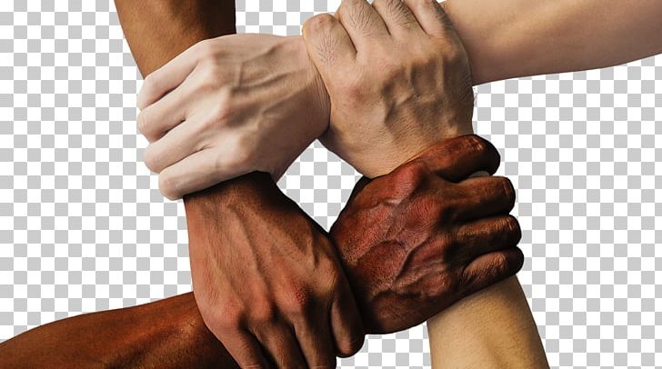 Diversity Multiculturalism Ryerson University United States Company PNG, Clipart, Abdomen, Arm, Business, Chiropractor, College Free PNG Download