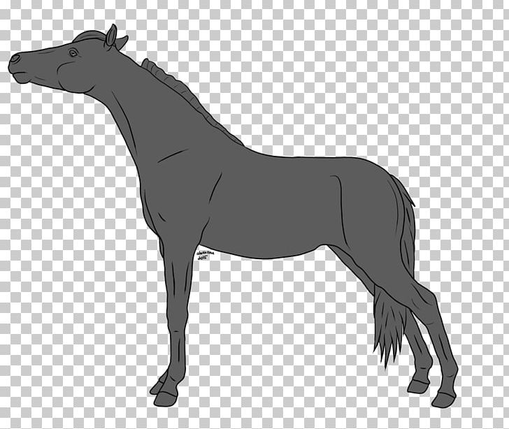 Mule Pony Mustang Stallion Mare PNG, Clipart, American Quarter Horse, Arabian Horse, Black And White, Bridle, Colt Free PNG Download