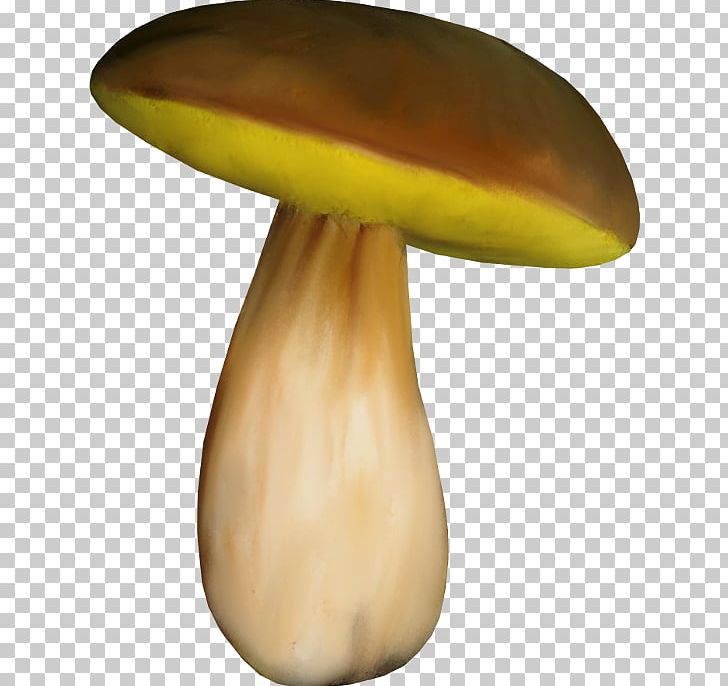 Edible Mushroom Fungus PNG, Clipart, Art, Edible Mushroom, Fungus, Mushroom, Pilz Free PNG Download