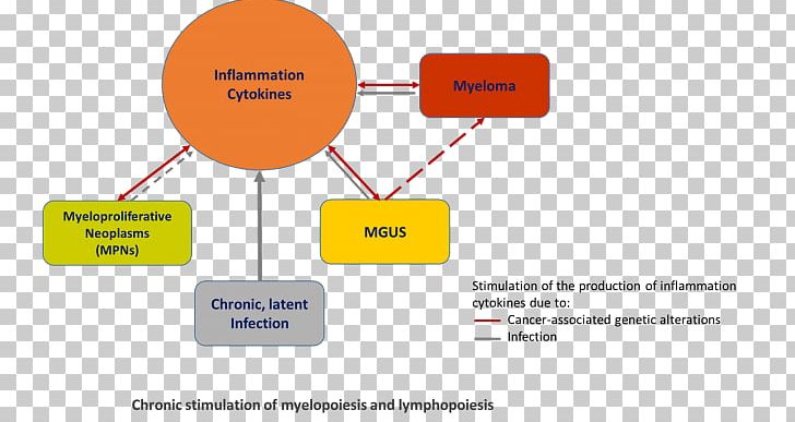 Myeloproliferative Neoplasm Tumors Of The Hematopoietic And Lymphoid Tissues Chronic Condition Inflammation Health PNG, Clipart, Acute Lymphoblastic Leukemia, Angle, Area, Brand, Cancer Free PNG Download
