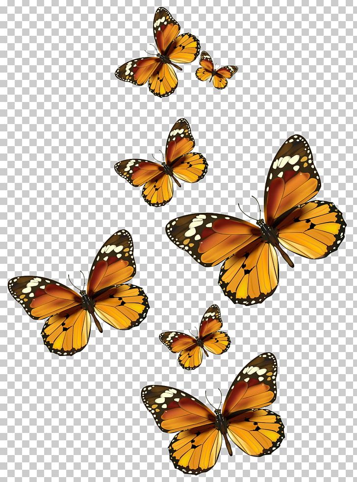 Monarch Butterfly PNG, Clipart, Arthropod, Brush Footed Butterfly, Butterflies And Moths, Butterfly, Computer Icons Free PNG Download