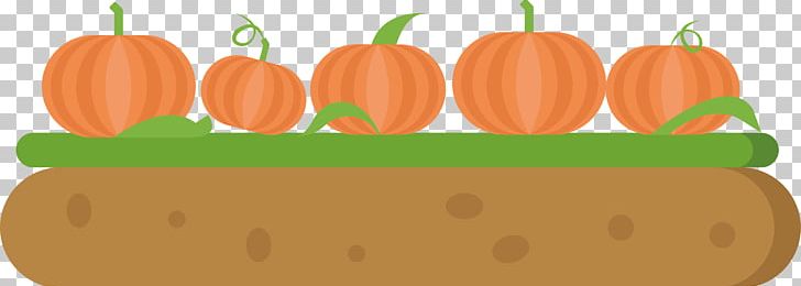 Pumpkin Calabaza Adobe Illustrator PNG, Clipart, Agriculture, Design Element, Elements Vector, Farming, Food Free PNG Download