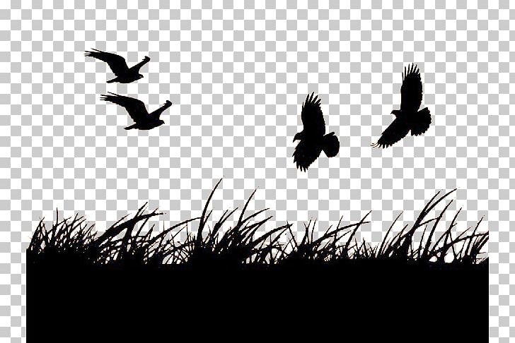 Bird Goose PNG, Clipart, Animals, Bird Cage, Birds, Black, Black And White Free PNG Download