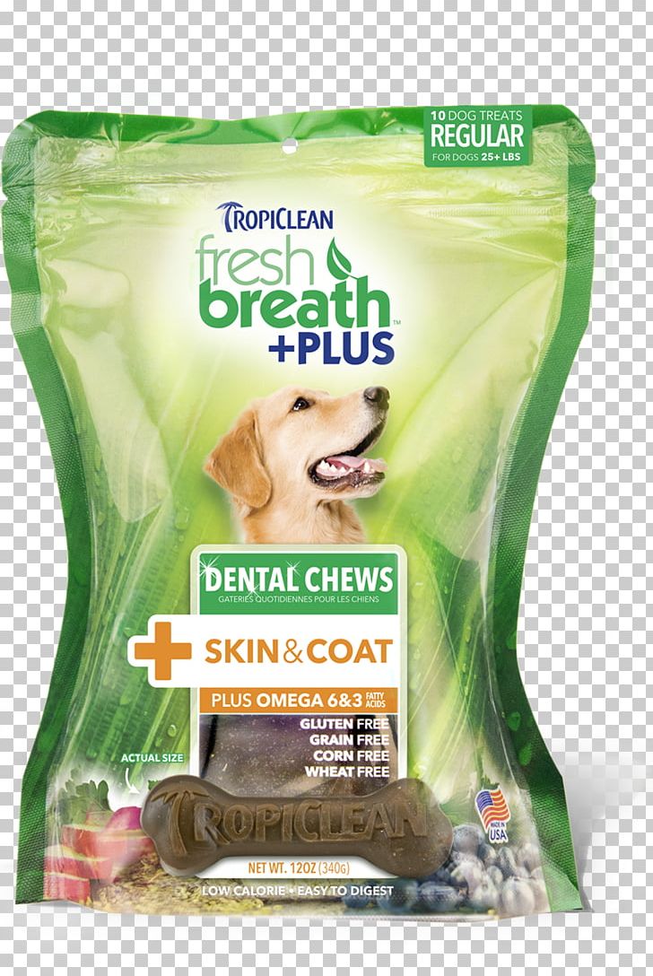 Dog Teeth Cleaning Dentistry Cat PNG, Clipart, Animals, Cat, Cleaning, Dental Plaque, Dentistry Free PNG Download