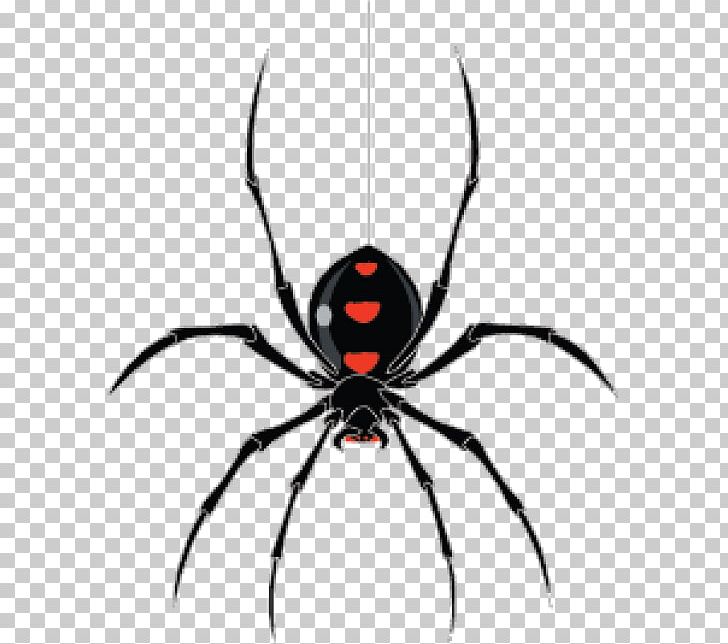 Spider PNG, Clipart, Arachnid, Araneus, Art, Arthropod, Black And White Free PNG Download