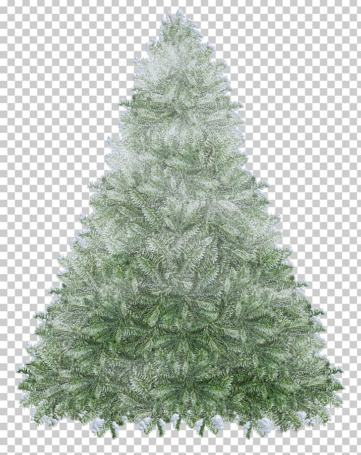Spruce Fir Christmas Tree Christmas Decoration Evergreen PNG, Clipart, Christmas, Christmas Decoration, Christmas Ornament, Christmas Tree, Conifer Free PNG Download