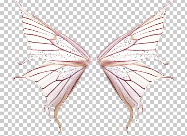 Butterfly PNG, Clipart, Adobe Flash, Arc, Butterfly, Drawing, Encapsulated Postscript Free PNG Download