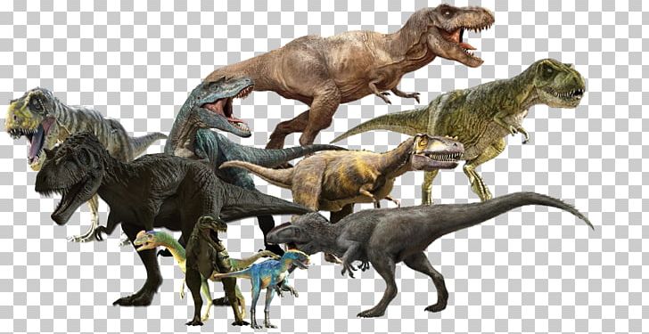 Dinosaur King Tyrannosaurus Guanlong Daspletosaurus Alioramus PNG, Clipart, Albertosaurus, Alioramus, Animal Figure, Ankylosaurus, Daspletosaurus Free PNG Download