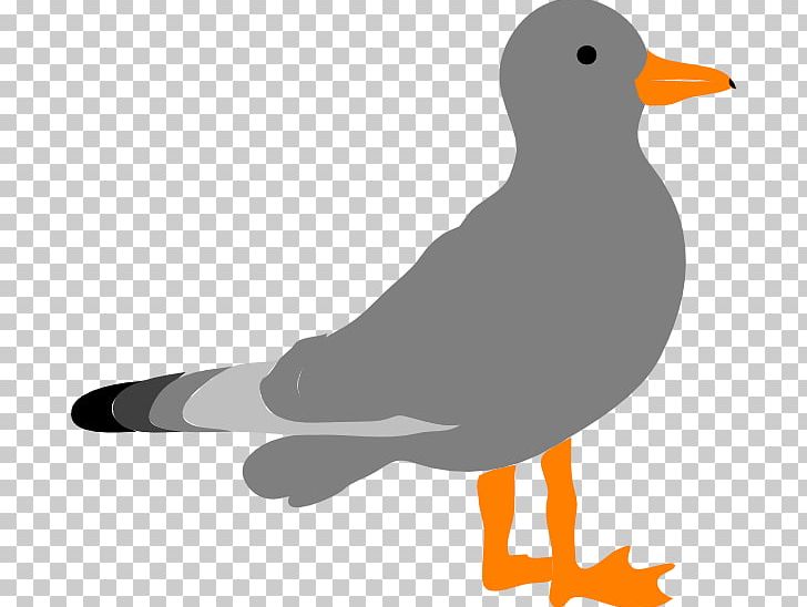 Gulls PNG, Clipart, Animals, Beak, Bird, Cartoon, Charadriiformes Free PNG Download