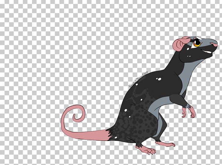 Rat Mouse Reptile Muroidea Animal PNG, Clipart, Animal, Animal Figure, Animals, Carnivora, Carnivoran Free PNG Download