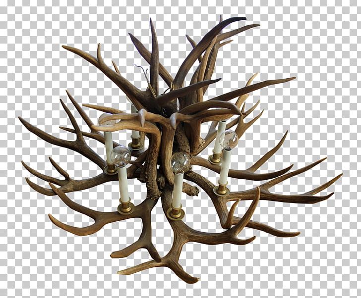 Antler Branching PNG, Clipart, Antique, Antler, Branch, Branching, Chandelier Free PNG Download