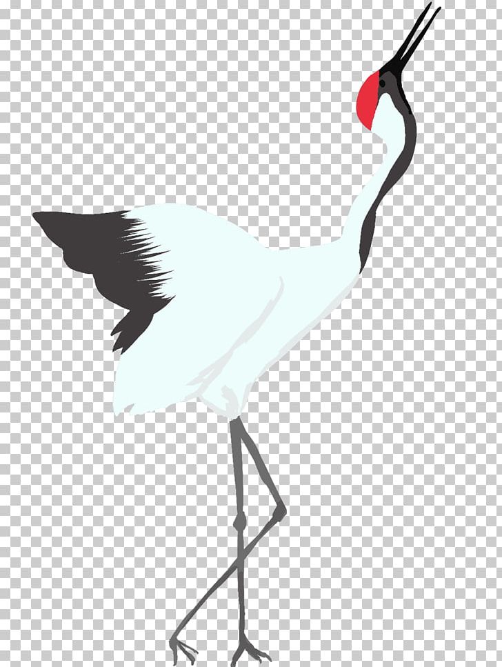 Crane Water Bird Stork PNG, Clipart, Animal, Beak, Bird, Book Illustration, Chicken Free PNG Download