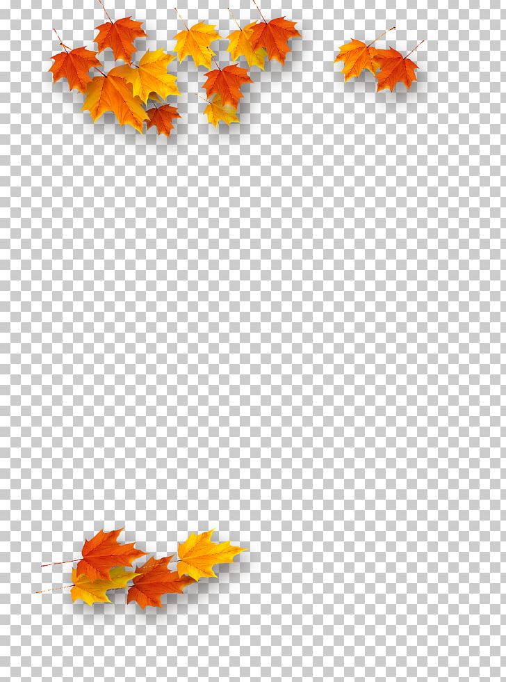 Maple Leaf Autumn PNG, Clipart, Autumn, Autumn Tree, Deciduous, Defoliation, Download Free PNG Download