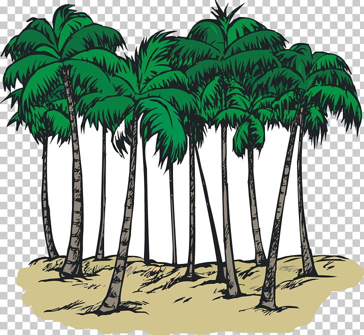South Carolina Sabal Palm Arecaceae Coloring Book PNG, Clipart, Arecaceae, Arecales, Beach, Borassus Flabellifer, Coconut Free PNG Download