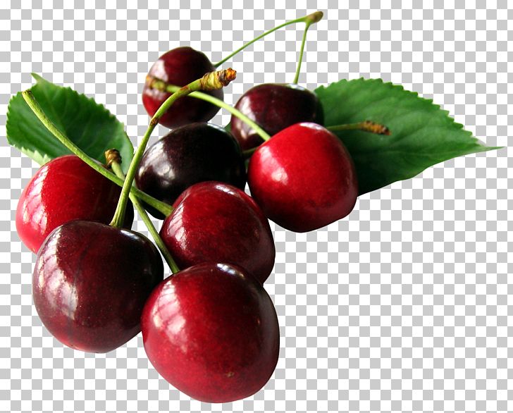 Cherry Fruit PNG, Clipart, Auglis, Berry, Cerasus, Cherry, Cranberry Free PNG Download