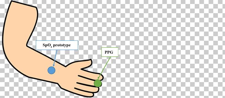 Thumb Hand Model PNG, Clipart, Angle, Area, Arm, Cartoon, Diagram Free PNG Download