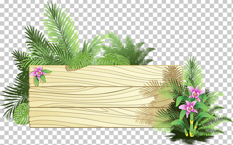 Plant Tree Grass Landscape Rectangle PNG, Clipart, Arecales, Flower, Grass, Landscape, Paint Free PNG Download