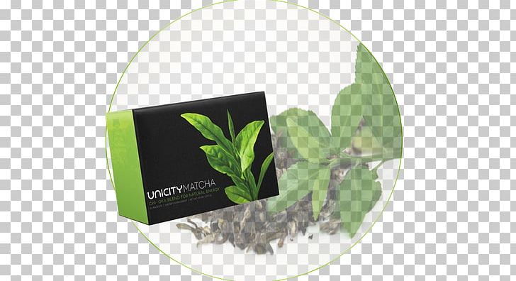 Matcha Herbalism Green Tea Web Page PNG, Clipart, Antioxidant, Food Drinks, Green Tea, Herb, Herbal Free PNG Download
