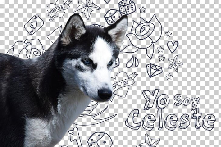 Miniature Siberian Husky Sakhalin Husky Canadian Eskimo Dog Alaskan Malamute PNG, Clipart, Alaskan Husky, Alaskan Klee Kai, Alaskan Malamute, Breed, Canadian Eskimo Dog Free PNG Download