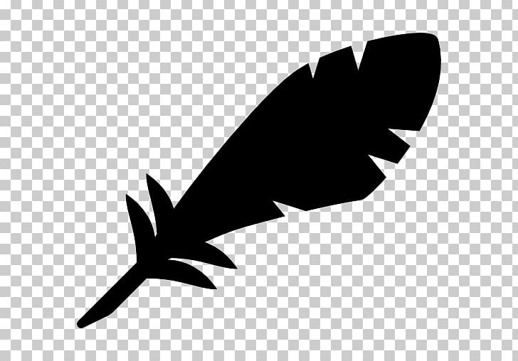 Computer Icons PNG, Clipart, Animals, Beak, Bird, Black, Black And White Free PNG Download