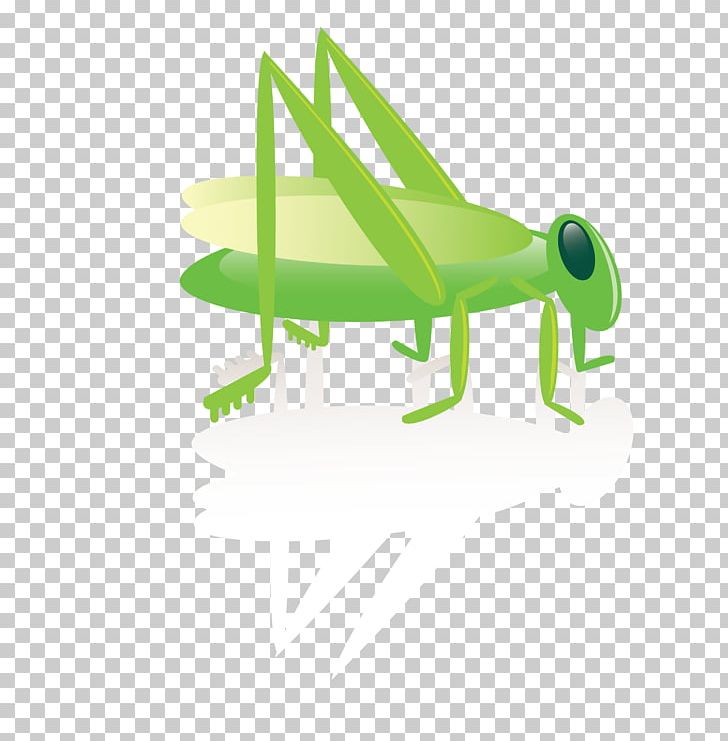 Insect Cartoon PNG, Clipart, Angle, Background Green, Balloon Cartoon, Cartoon Character, Cartoon Couple Free PNG Download
