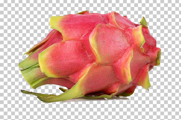 Pitaya Auglis Food Sweetness PNG, Clipart, Auglis, Bud, Candied Fruit, Cut Flowers, Delicious Free PNG Download