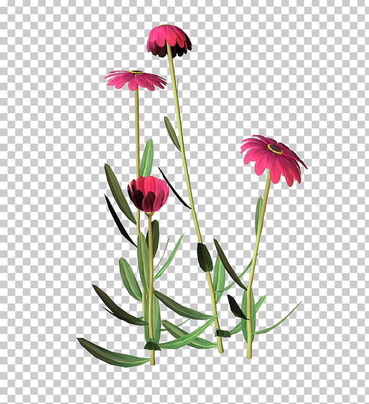 Cut Flowers Tulip PNG, Clipart, Art, Creative, Creative Flower Photos, Floral, Flower Free PNG Download
