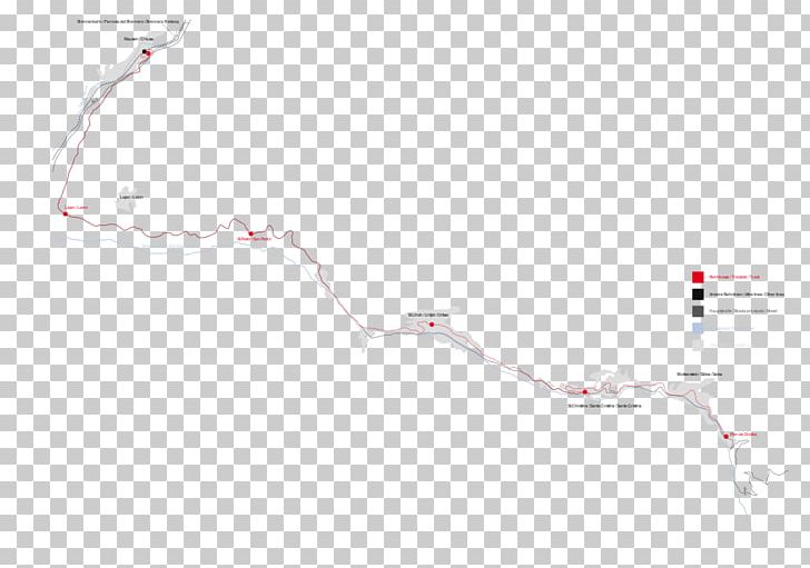 Line Point PNG, Clipart, Art, Branch, Branching, Line, Point Free PNG Download