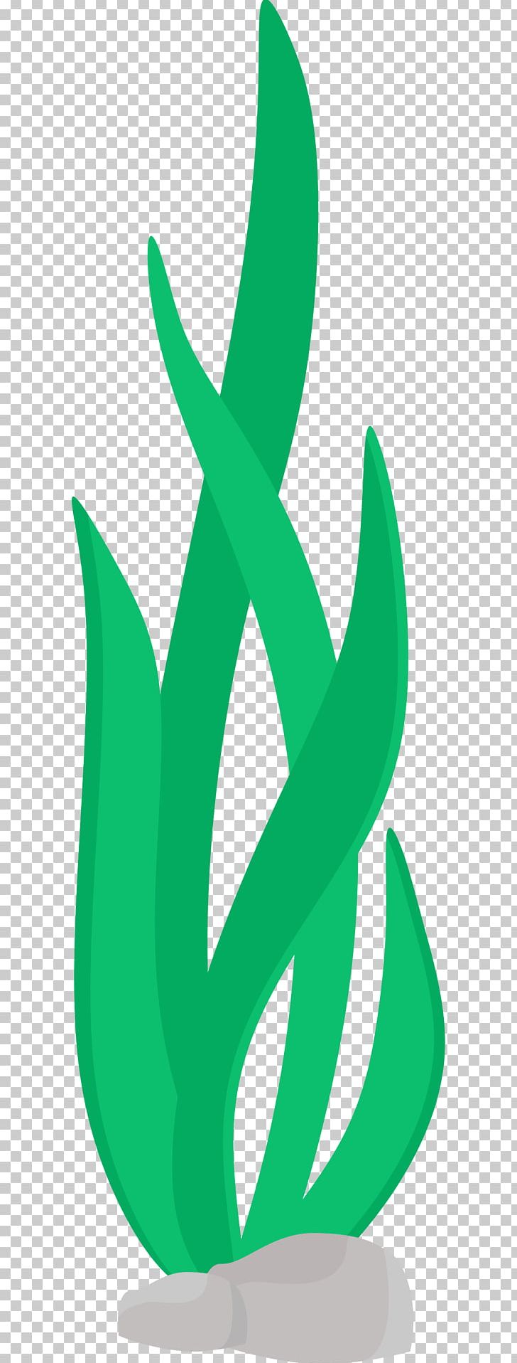 seaweed png