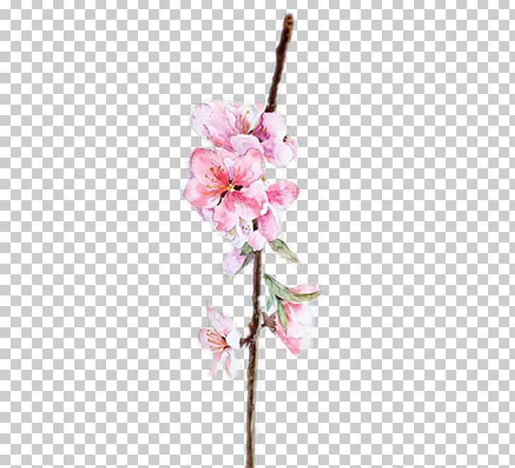 Watercolor: Flowers Floral Design Watercolor Painting PNG, Clipart, Artificial Flower, Blossom, Branch, Cherry Blossom, Flower Free PNG Download