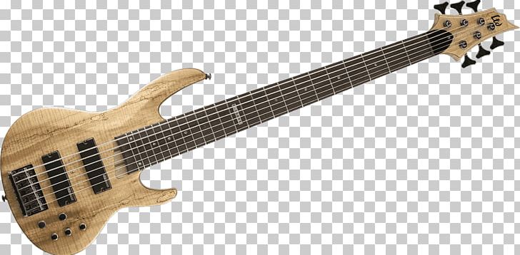 Bass Guitar Acoustic-electric Guitar Cort Guitars Musician PNG, Clipart, Acousticelectric Guitar, Acoustic Electric Guitar, Double Bass, Guitar Accessory, Jeff Berlin Free PNG Download