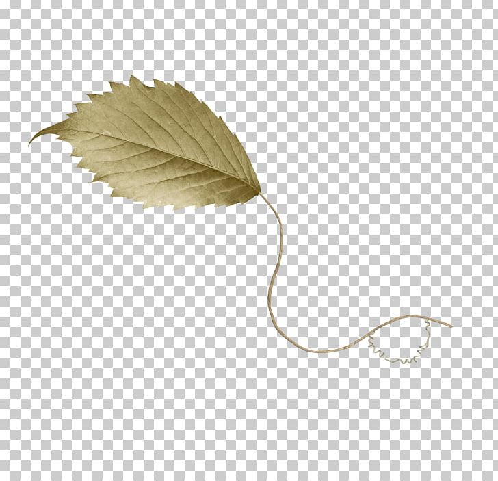 Drawing Leaf PNG, Clipart, Advertising, Art, Autumn, Brown, Collage Free PNG Download