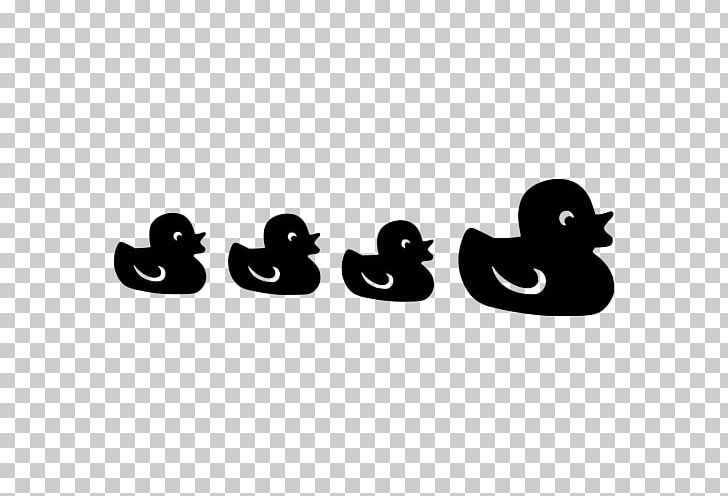 Duck Water Bird Anatidae Goose PNG, Clipart, Anatidae, Animal, Animals, Bird, Black And White Free PNG Download