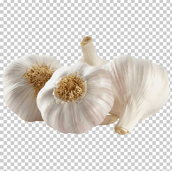 Garlic Vegetable Onion European Union Discount Store PNG, Clipart, Dacha, Discount Store, European Union, Flowering Plant, G 100 Free PNG Download