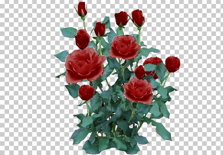 Rose Shrub Flower Plant PNG, Clipart, Annual Plant, Artificial Flower, Color, Cut Flowers, Floral Design Free PNG Download