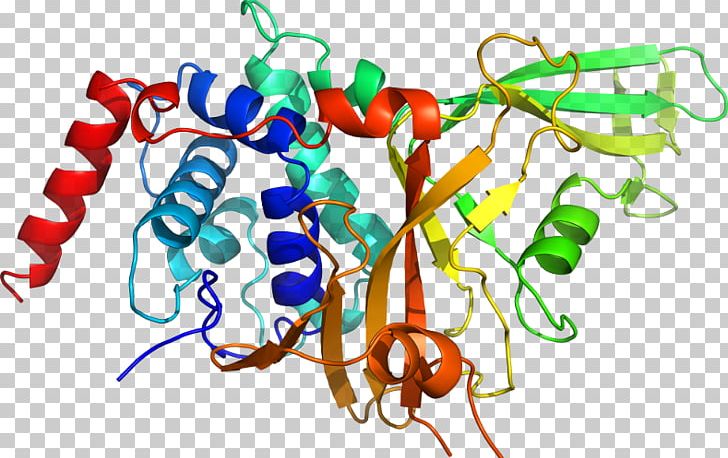 Tropomyosin Receptor Kinase B Neurotrophin Neurotrophic Factors Trk Receptor Tropomyosin Receptor Kinase A PNG, Clipart, 8 A, Brainderived Neurotrophic Factor, D 1, D 3, Line Free PNG Download