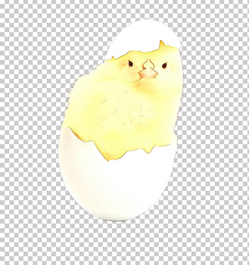 Egg PNG, Clipart, Cat, Egg, Persian, Pomeranian, Yellow Free PNG Download