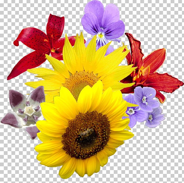 Flower Bouquet Cut Flowers PNG, Clipart, Bouquet Of Flowers, Chrysanths, Common, Cut Flowers, Dahlia Free PNG Download